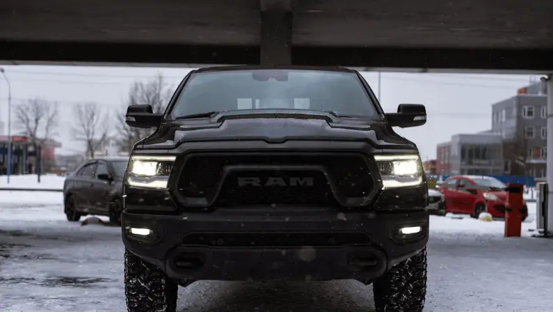 ram