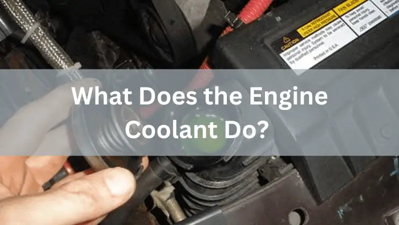 All You Need to Know About Engine Coolants – CarHub
