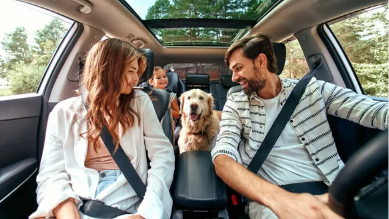 Breathe Easy—Your Odor-Free Car Awaits! 
