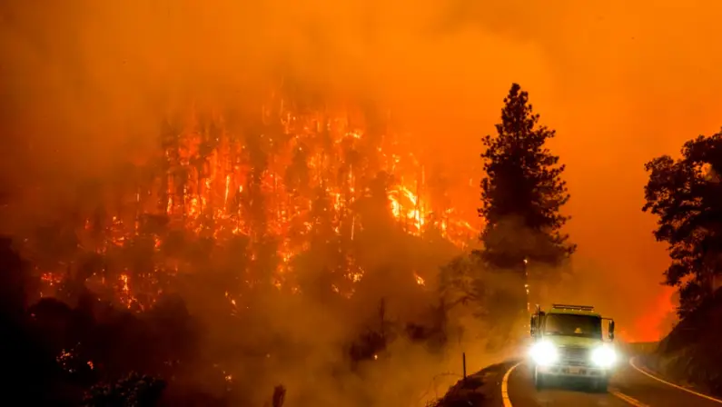 How To Protect Your Vehicle from Wildfires